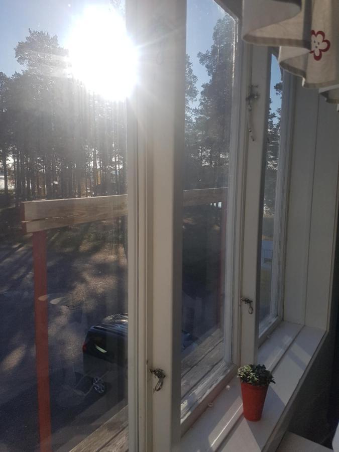 Furudals Vandrarhem Och Sjoecamping Exterior foto