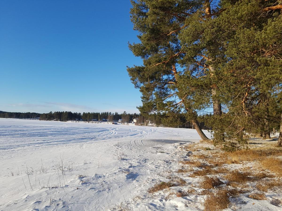 Furudals Vandrarhem Och Sjoecamping Exterior foto